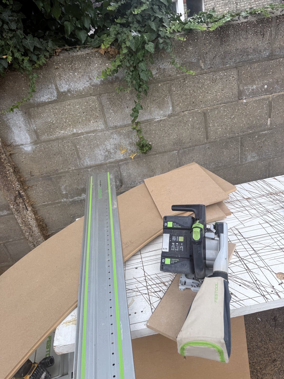 Track saw on its rail beside a curved offcut
