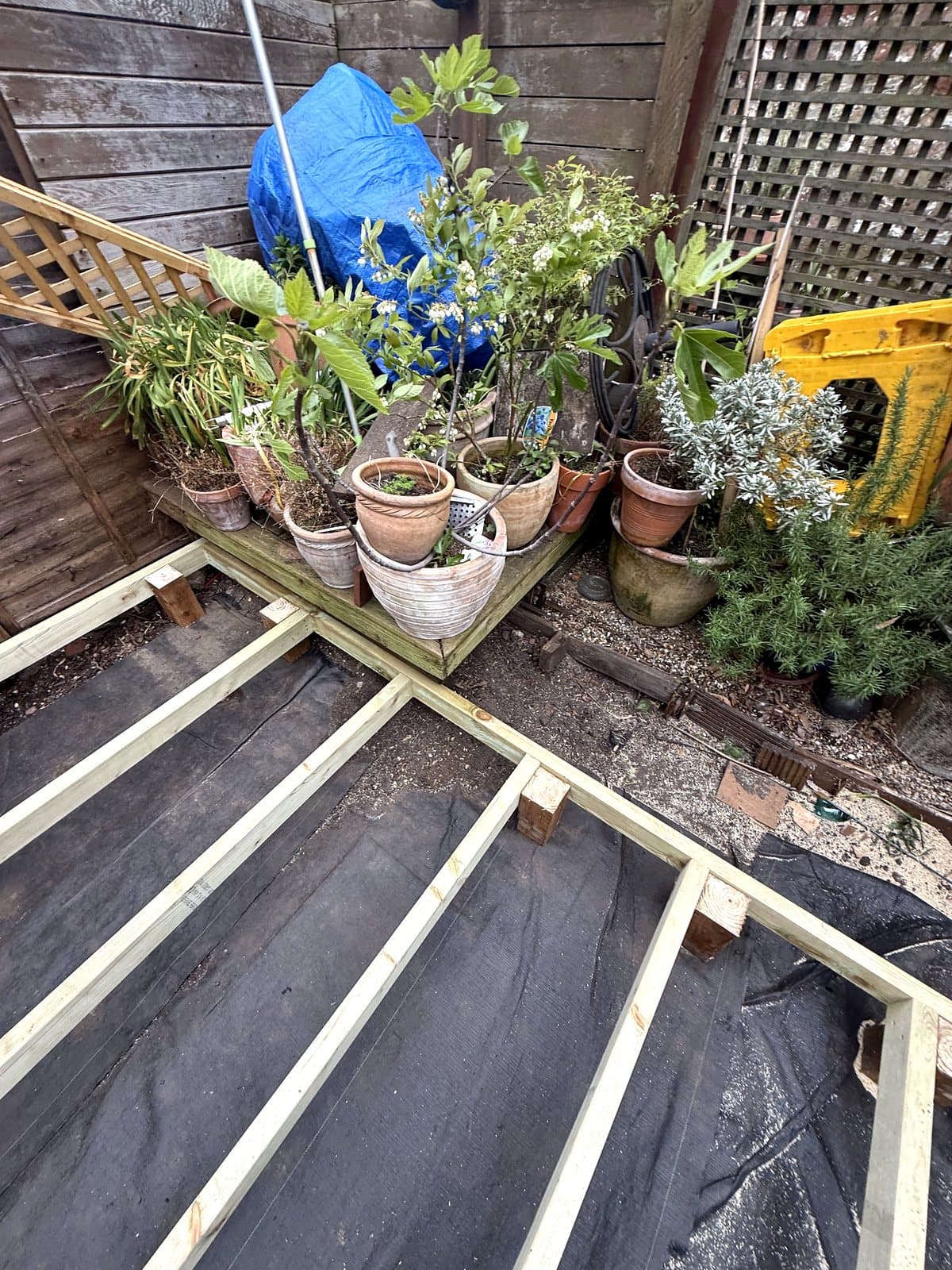 Frame running to the plants at the far end