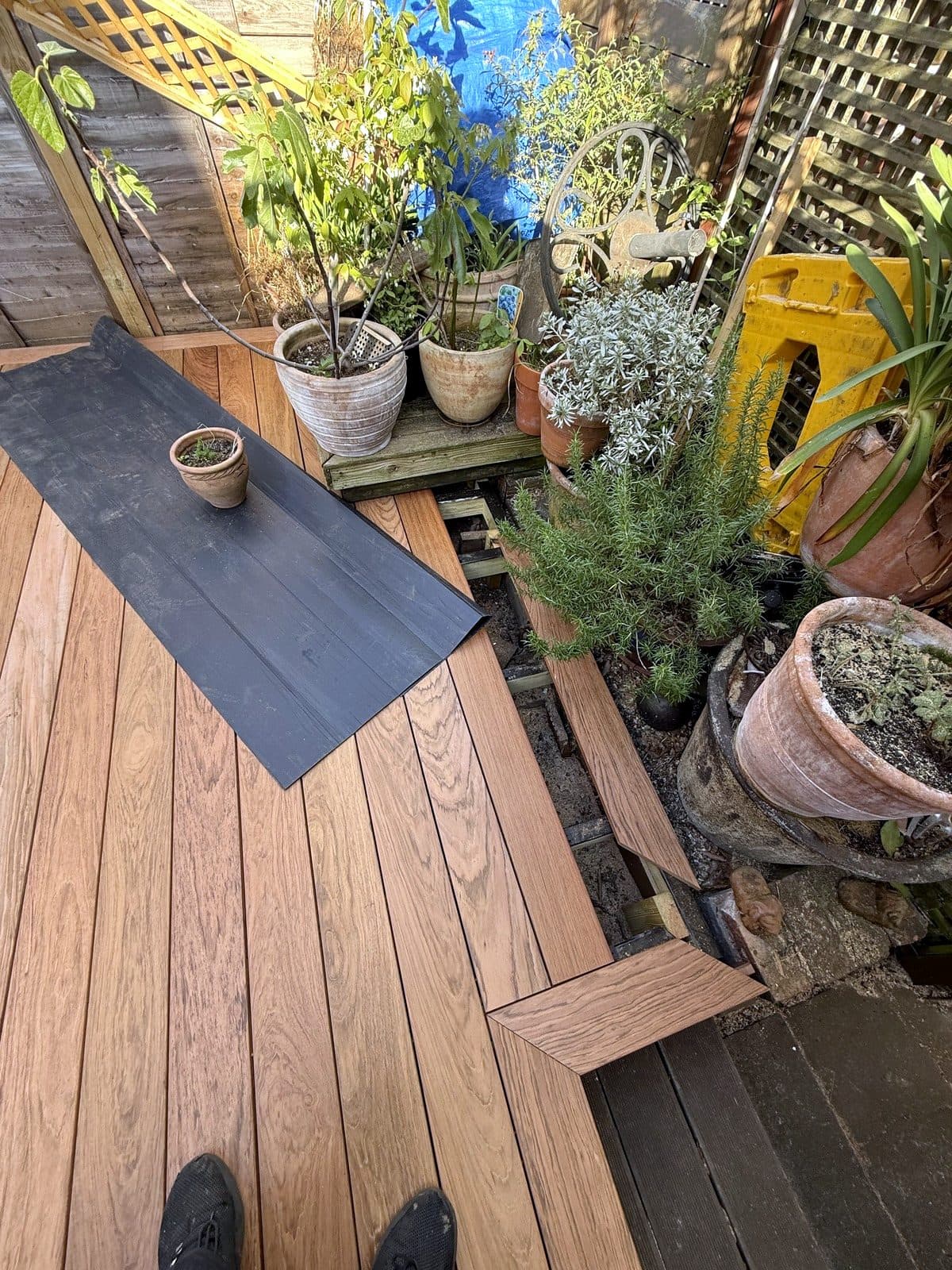 Deck with plants along the edge