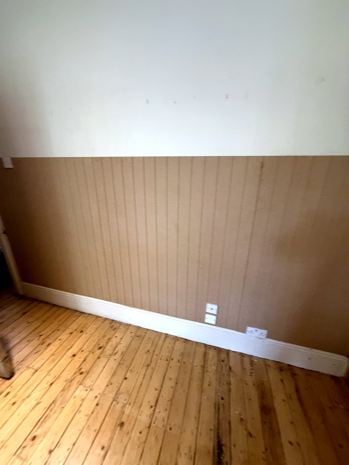 Dado panelling with its skirting