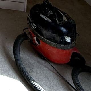 Raf's Henry Vacuum on a job