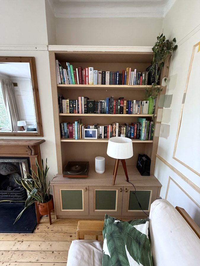The bookcase full of books